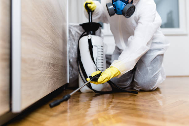 Best Wasp Removal Services  in Avenel, NJ