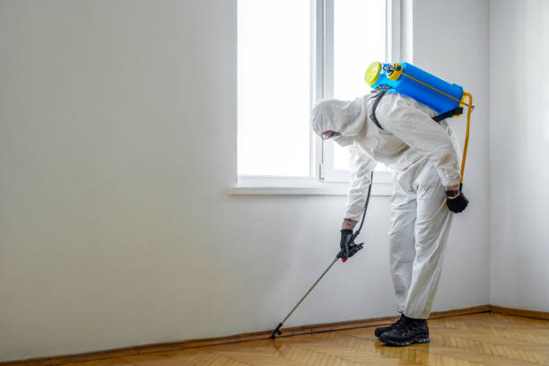 Best Termite Control Services  in Avenel, NJ