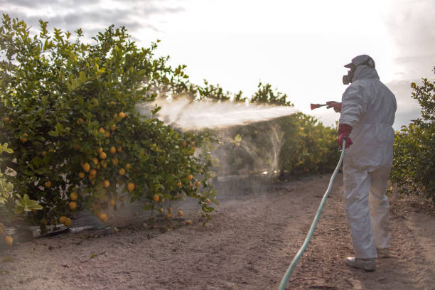 Best Emergency Pest Control  in Avenel, NJ