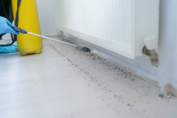 Best Termite Control Services  in Avenel, NJ