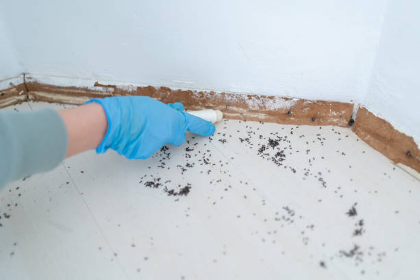 Best Best Pest Control Companies  in Avenel, NJ