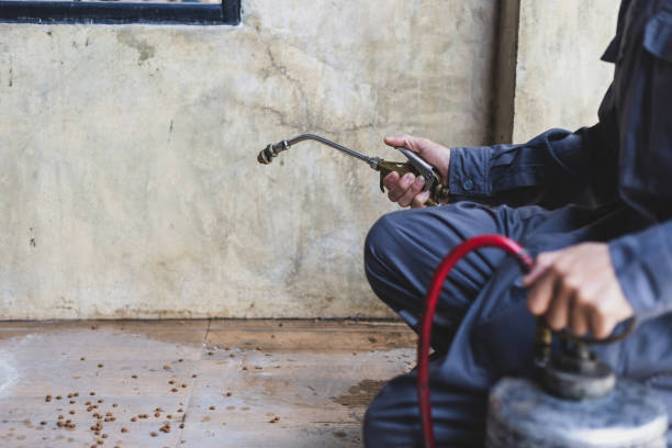 Best Mosquito Control Services  in Avenel, NJ